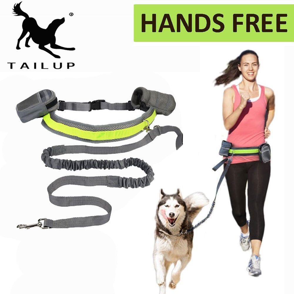 Hands Free Leash Leads Dog-Collar