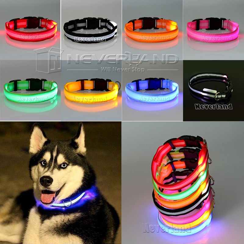 Pet Glow LED Collar Flashing Light Up Nylon Night Safety