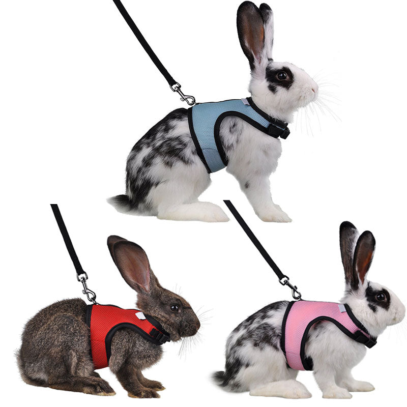 Hamster Rabbit Pet Harness with Lead